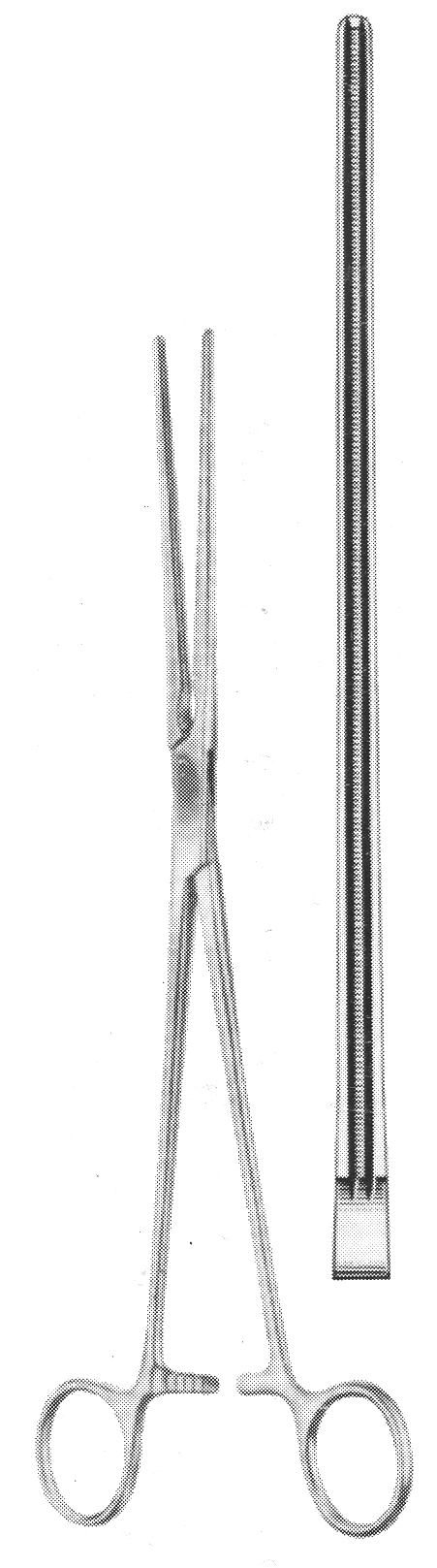 ATROMAT POTTS KLEMP DÜZ 31.5CM